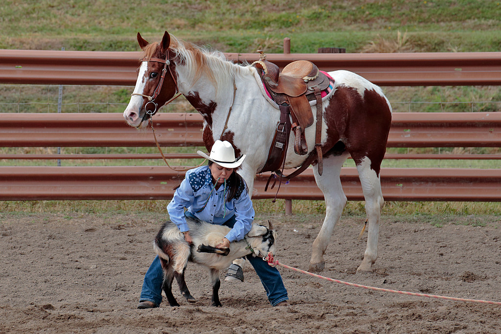 Women's Rodeo in Oahu Rodeo Oahu