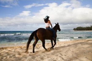 oahu horseback tours